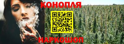 крисы Бугуруслан
