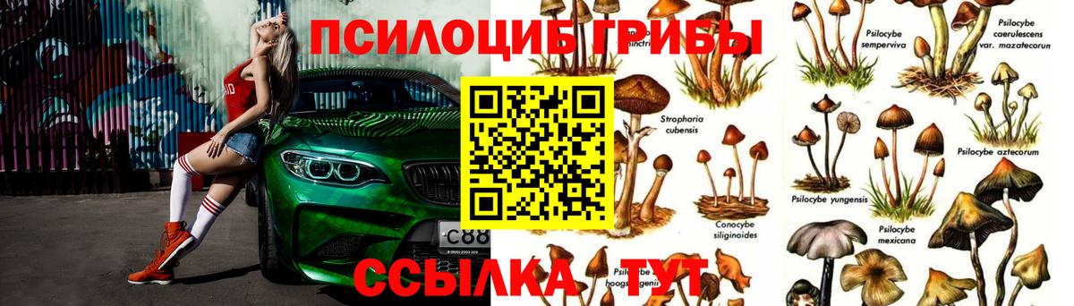 Псилоцибиновые грибы прущие грибы  Галлюциногенные грибы Psilocybine cubensis  Вход с VPN  сколько стоит  Тара 